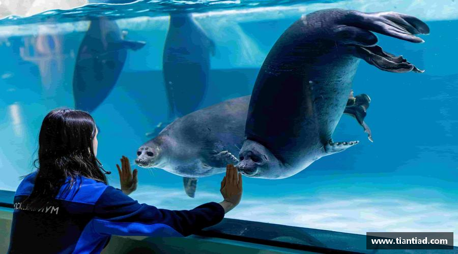 金年会金字招牌打破常规，创造传奇